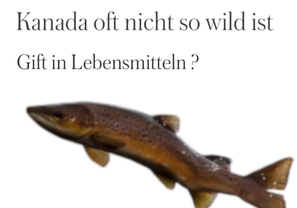 lachs_weiss